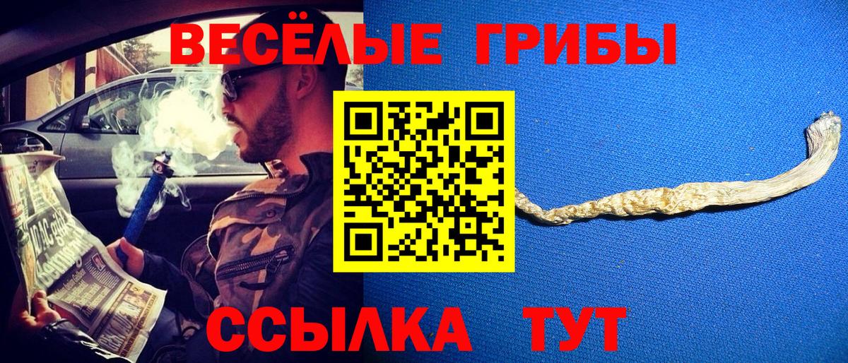 Псилоцибиновые грибы MAGIC MUSHROOMS Чистополь